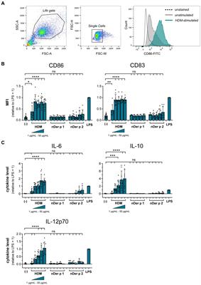 Toll-like receptor 4 and Syk kinase shape dendritic cell-induced immune activation to major house dust mite allergens